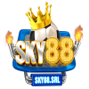 872087 logo sky88.srl 